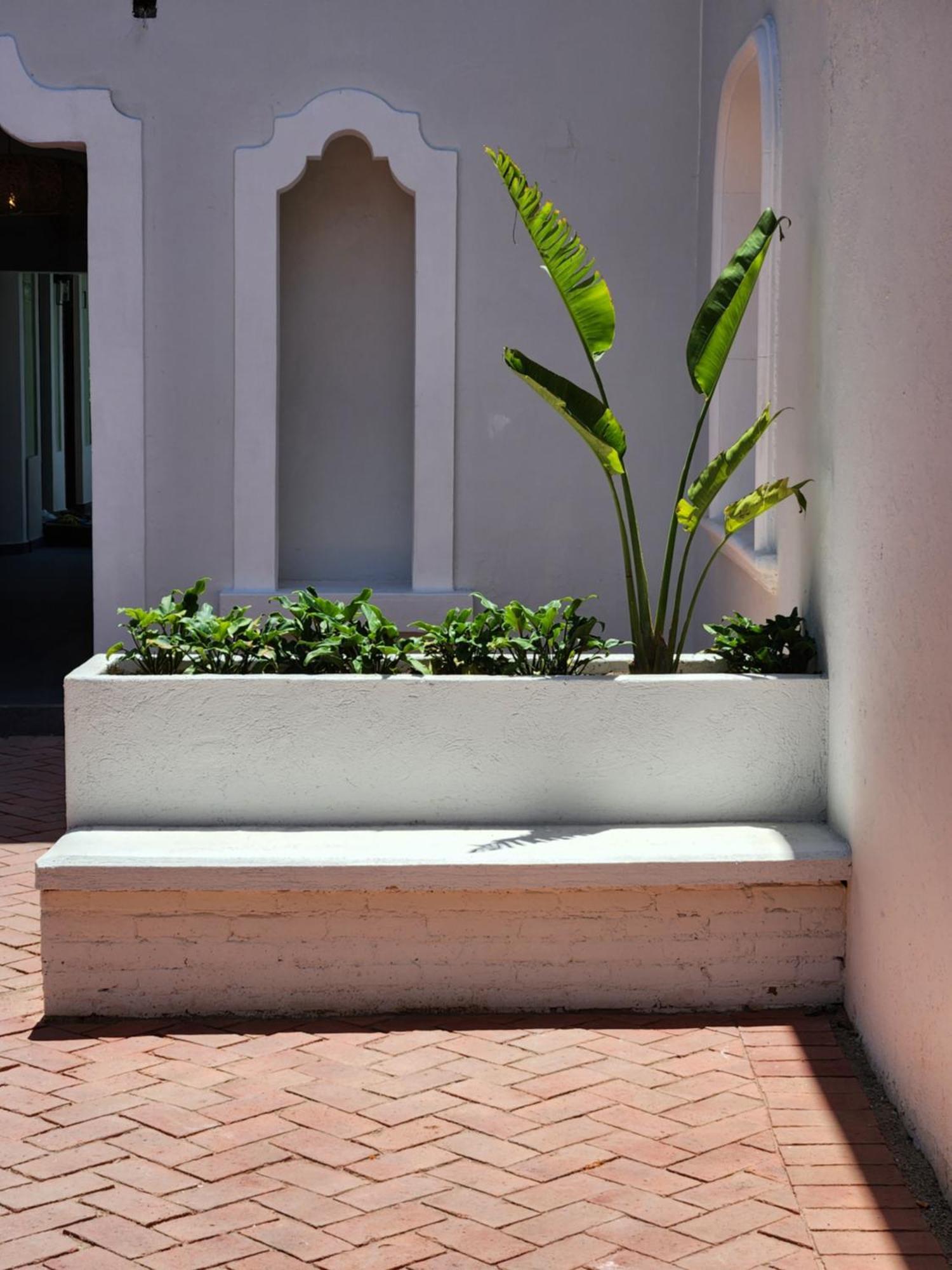Hotel Boutique Villa Escondida, A Pasos De Lo Mejor En Tlaquepaque Eksteriør billede